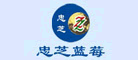 忠芝/ZZ